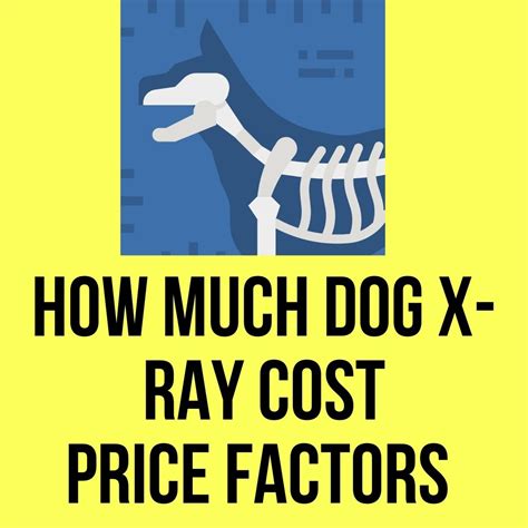 How Much Dog X-Ray Costs in 2022? - Oxford Pets