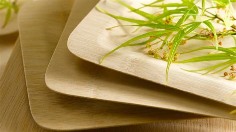 Bamboo Plates Catering at Patricia Madden blog