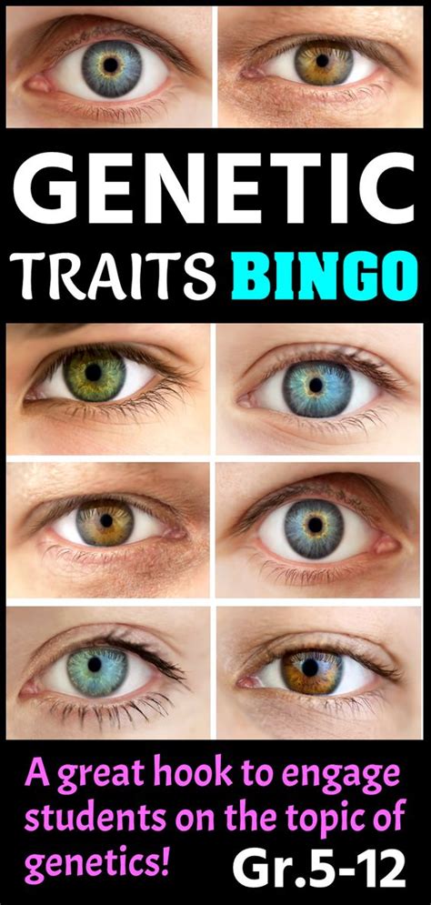 Eye Color Genetics 的图像结果