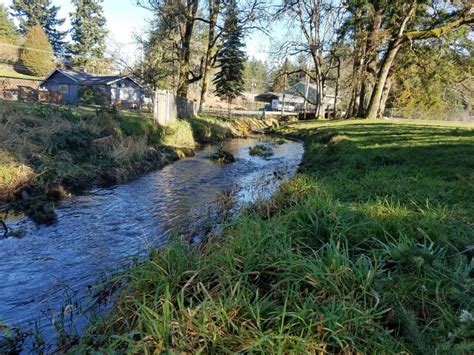 Clover Creek | A Parkland Tour | PLU
