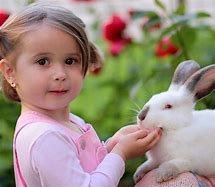 Image result for Outdoor Pet Rabbit