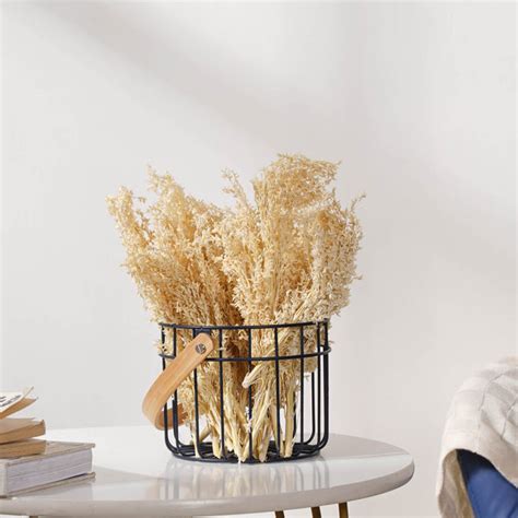 Corn Grass Stem Online - Premium Dried Flower Stick | Nestasia