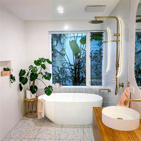 10 Best Bathroom Plants That Absorb Moisture