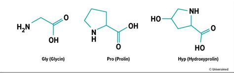 Mythen und Fakten der oralen Kollagensupplementation - Plastische ...