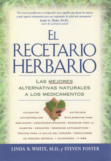 Buy Recetario ario: Las Mejores Alternativas Naturales a Los ...