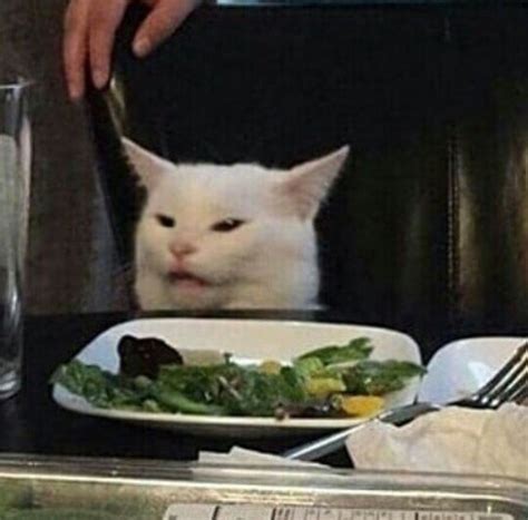 Pin by Anastasiya Lonshakova on Милые рисунки in 2025 | Cat memes, Cute ...