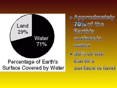 Basic Components of the Environment 的图像结果