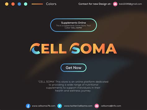 Web System Logo 的图像结果