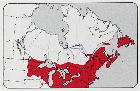 Canada 的图像结果