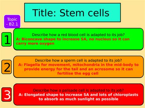 Stem Cells Free Science Lessons 的图像结果