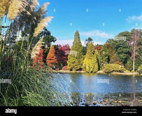 Sheffield Park High Resolution Stock Photography and Images - Alamy