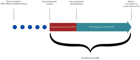 Survival of Patients with Metastatic Melanoma Treated with Ipilimumab ...