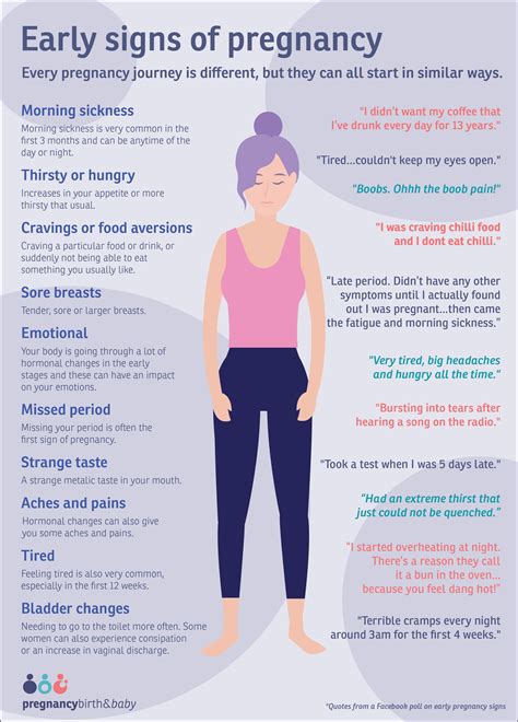 Early Pregnancy Symptoms Timeline