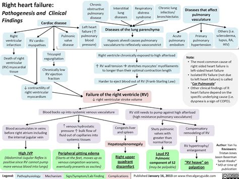Adult Emergency Medicine: Right Sided Heart Failure
