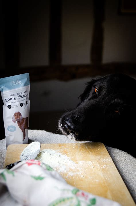 Whole Goat Milk Powder for Dogs & Cats | 250g – Fettle