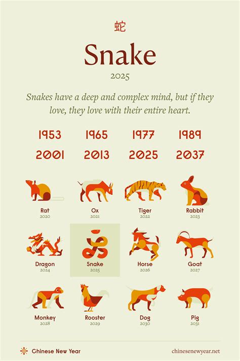 Fire snake chinese zodiac personality 60 photos - Astrologytoyou.com