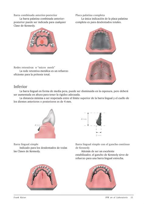 P P R E N L A B( K A I S E R) | Odontologia, Dentário, Anatomia dental