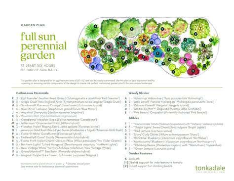 Perennial Garden Plans - Tonkadale