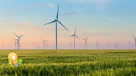 Orient Green Power Company to Raise Rs 250 Crore Via Rights Issue ...