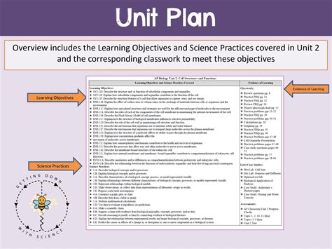 AP Biology Unit 2: Cells - COMPLETE UNIT - Getting Down with Science