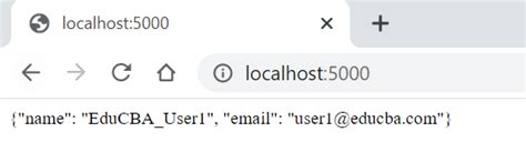 Flask API Example Python 的图像结果