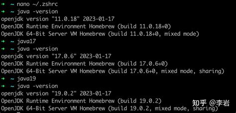 Java 11 Mac Tutorial 的图像结果