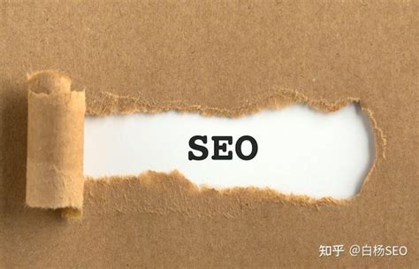 白杨SEO：如何用SEO方法获取平台搜索流量来做私域用户增长？