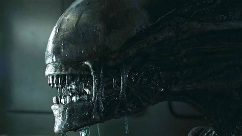 Image result for Alien Movie Stream Free