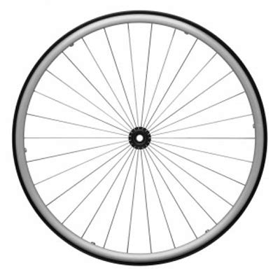 Image result for Visualization Plugin WordPress SQL
