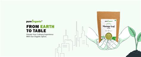 Pure Organio Organic Moringa Powder Indian Organic NPOP Certified