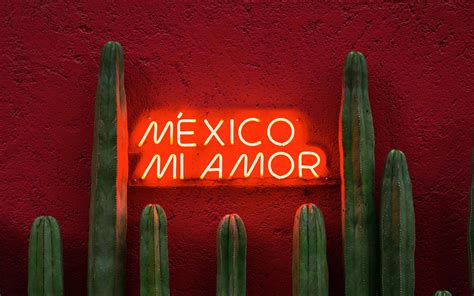 Download wallpaper 2560x1600 cacti, sign, neon, text, red widescreen 16 ...