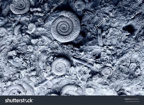 Extinct 的图像结果