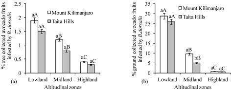 Spatial Distribution of Bactrocera dorsalis and Thaumatotibia ...