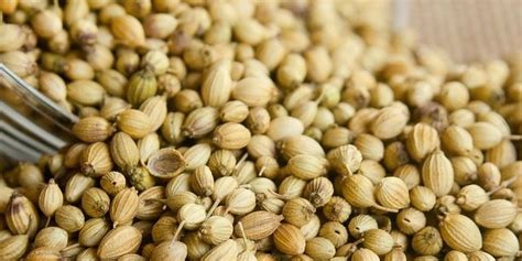 manfaat air ketumbar menurut dr zaidul akbar