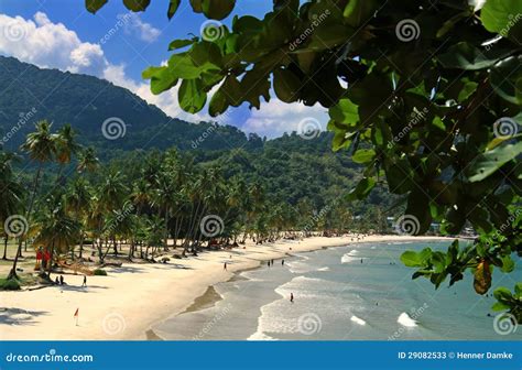 Beach of the Maracas Bay, Trinidad Stock Image - Image of paradise ...