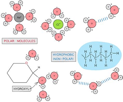 The Structure of ATP - Chemistry - Grade 9 PDF Download