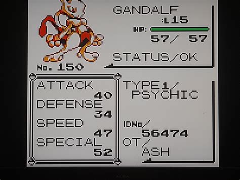 Image result for How to Randomize Omega Ruby with Pkhex