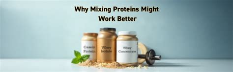 Why Combining Different Proteins May Give Better Results – NAKPRO NUTRITION