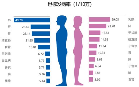 去年中国癌症新发病例数全球第一 5岁以下儿童患病率各年龄段中增比最高|癌症_新浪新闻