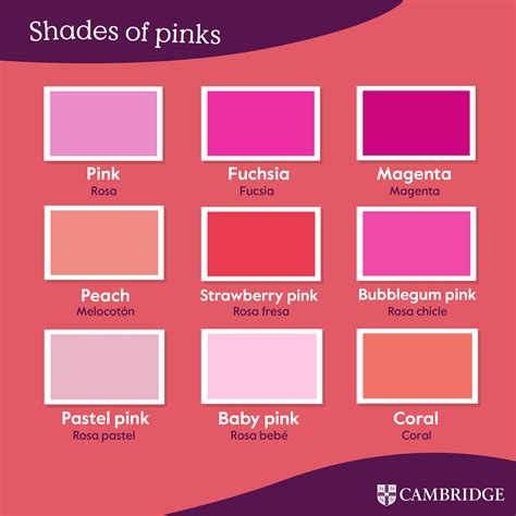 Shades of Pinks | Cambridge Blog