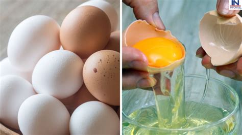 How To Check Eggs Freshness: “अण्डा खाने वाले हो जायें सावधान” इतने दिन ...