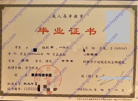 四川美术学院毕业证学位证样本图片-胡杨树样本网