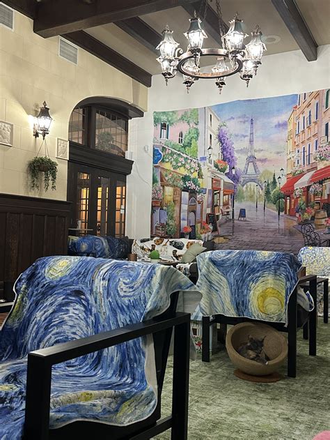 VISIT — Starry Night Cat Cafe