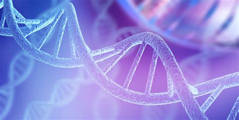 Image result for Fetus DNA Testing