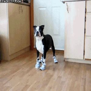 Image result for Lab2 Persistent Non-Persistent Tutorial