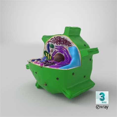 Plant Cell 3D Model $149 - .3ds .fbx .max .obj .c4d .ma - Free3D