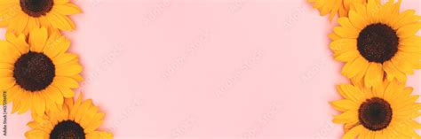 Image result for Classification in Computer Vision