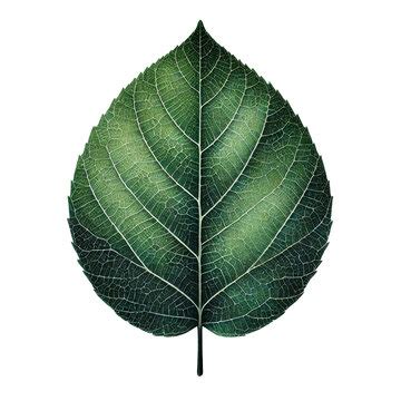 Image result for Flow Diagram Matplotlib