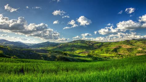 Nature Field 的图像结果