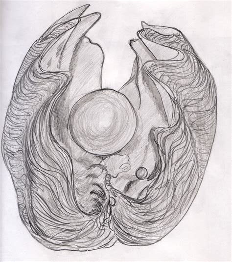 Draw Pearl Shell 的图像结果